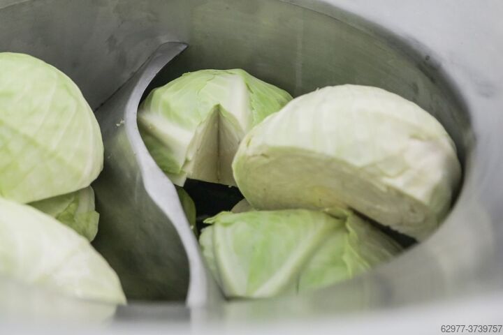 Gemüseverarbeiter S40 500kg/h Alistar Europe S40