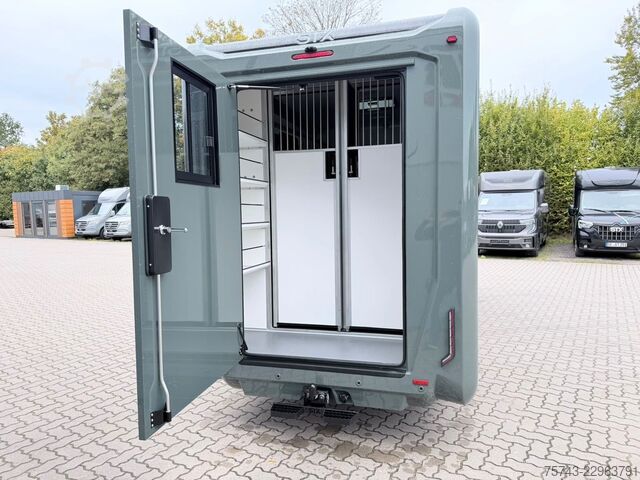 Transportor de animale RENAULT Master STX 5 Sitzer Haras ex. Lang Automatik