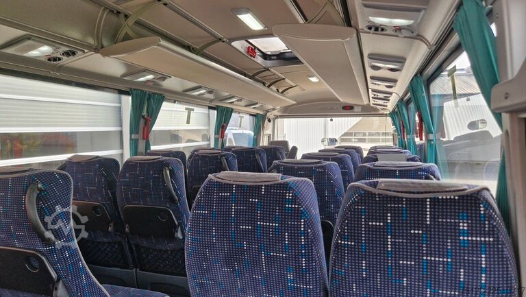 Turistbus TEMSA 8 units Prestij SX,Novo Lux, Daily, Atego