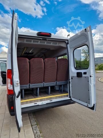 Microbuz PEUGEOT Opel Movano Fiat Ducato Boxer mehrfach vorhanden