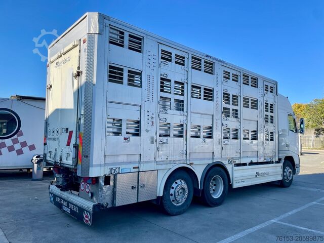 Viehlaster Volvo FH 12 460