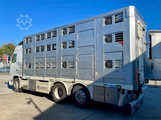 Viehlaster Volvo FH 12 460