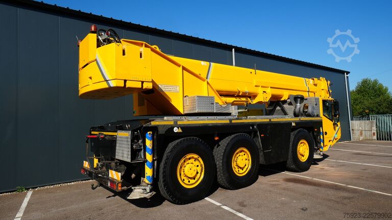 Camião-grua Terex-Demag AC 50-1 MOBILE CRANE