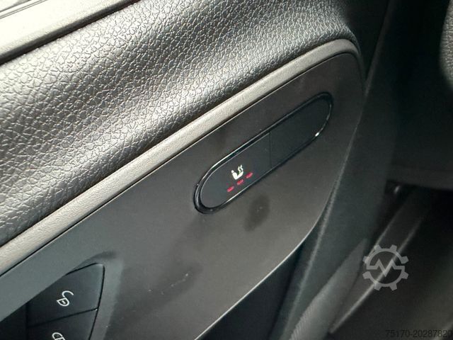 Βαν με κουρτίνα πλευράς MERCEDES-BENZ Sprinter 319 CDI 3665 DoKa AHK Klima LED