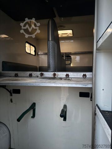 Hayvan taşıyıcı RENAULT Master Paragan 5 Sitzer