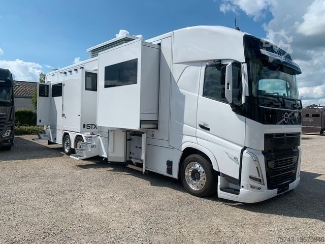 Kreaturvogn VOLVO FH 540 STX 6 Pferde Dop-POP-OUT, POP+UP NEW VOLL