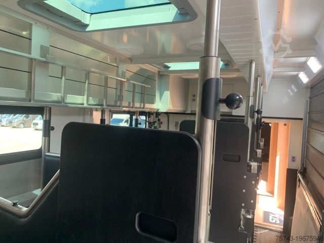 Kreaturvogn VOLVO FH 540 STX 6 Pferde Dop-POP-OUT, POP+UP NEW VOLL