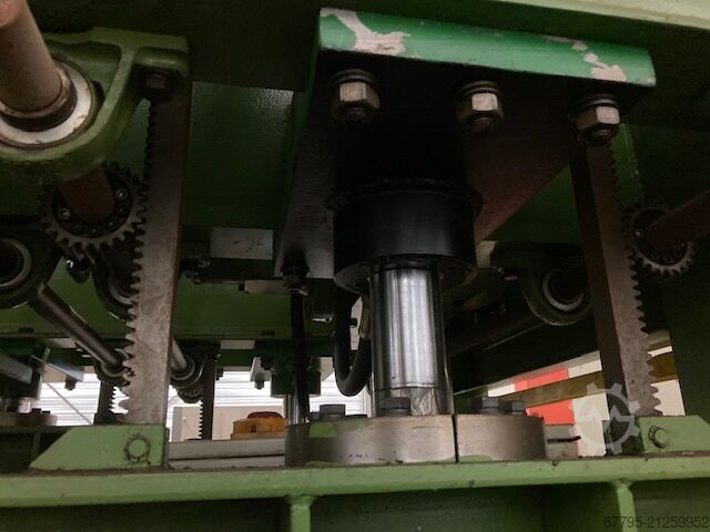 Fineerpers SIMIPIANTI 