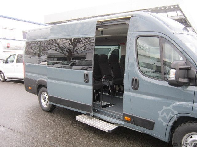 Minibus Fiat Minibus 16+ 1 Sitzer