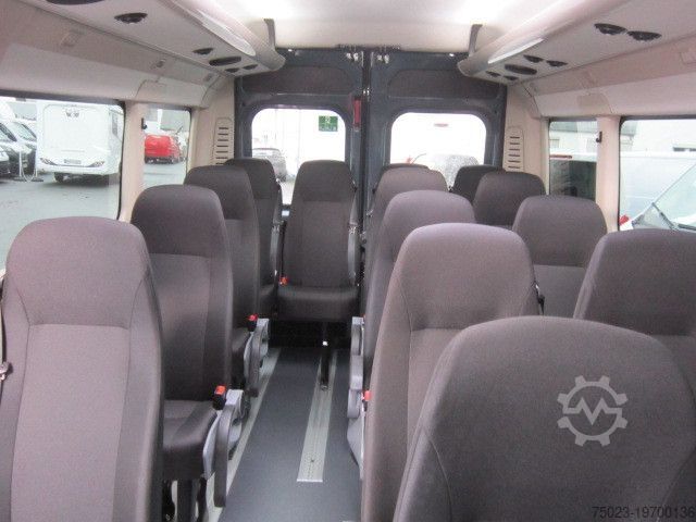 Minibus Fiat Minibus 16+ 1 Sitzer