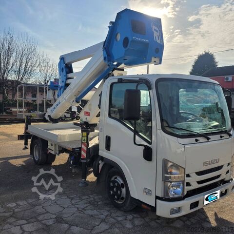 TOWARZYSTWO 20D Socage 20D