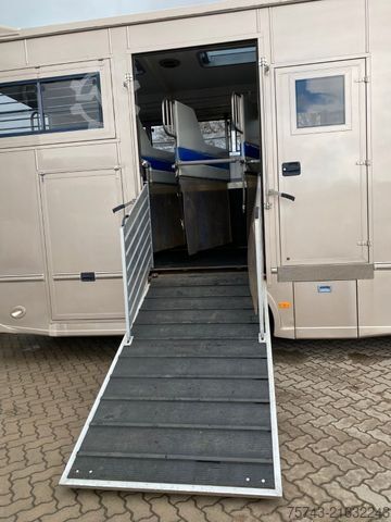 Cattle truck MAN 12 220 5 Pferde Wohnung
