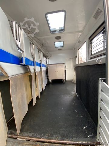 Cattle truck MAN 12 220 5 Pferde Wohnung