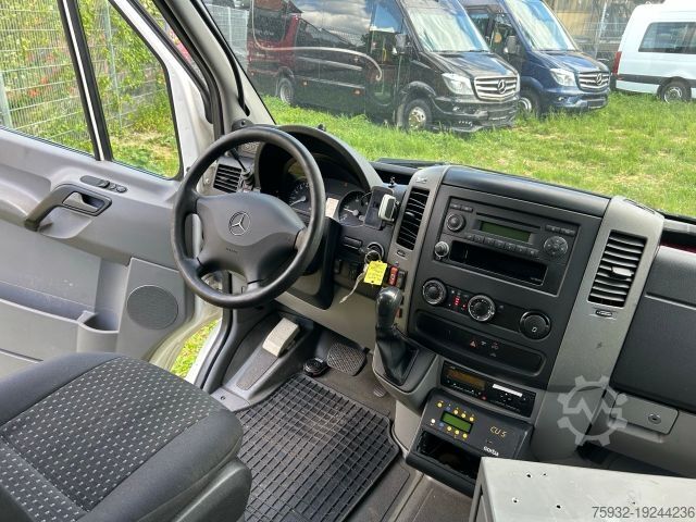 Minibus MERCEDES-BENZ Sprinter 516 City 35 - neuer Motor EVOBUS 45 65