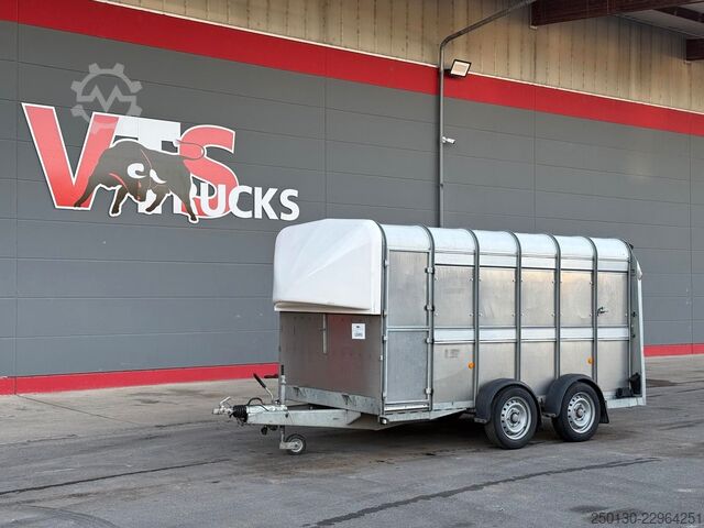 Atrelado de transporte de cavalos IFOR WILLIAMS SB 2 TA35 PKW Tandem Viehanhänger