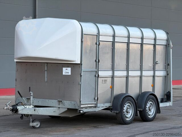 Atrelado de transporte de cavalos IFOR WILLIAMS SB 2 TA35 PKW Tandem Viehanhänger