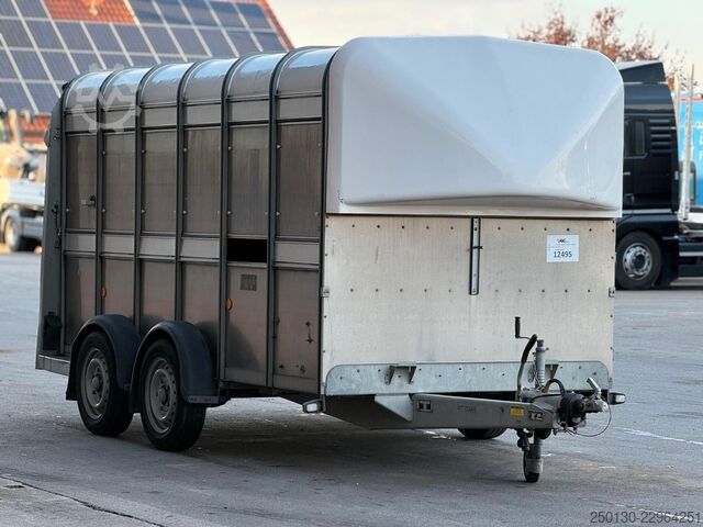 Atrelado de transporte de cavalos IFOR WILLIAMS SB 2 TA35 PKW Tandem Viehanhänger