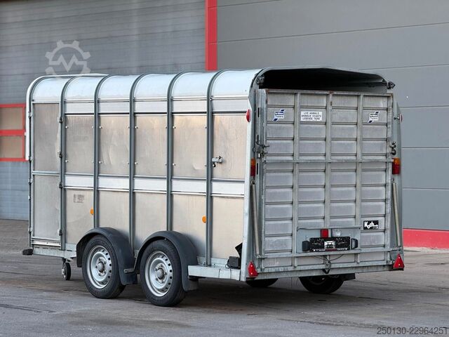 Atrelado de transporte de cavalos IFOR WILLIAMS SB 2 TA35 PKW Tandem Viehanhänger