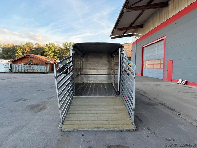 Atrelado de transporte de cavalos IFOR WILLIAMS SB 2 TA35 PKW Tandem Viehanhänger