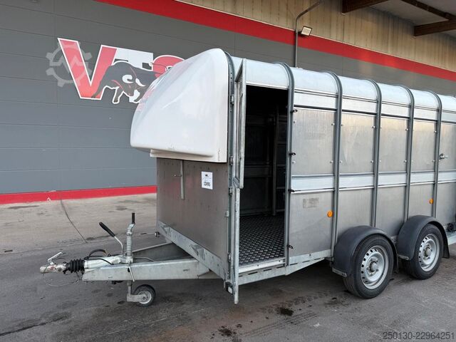 Atrelado de transporte de cavalos IFOR WILLIAMS SB 2 TA35 PKW Tandem Viehanhänger