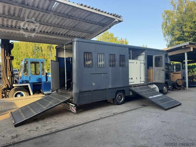 Hästtransportör, kapplöpningshästtransport, husbil, lastbil Mercedes Pferderenntransport Pferderenntransporter 1120