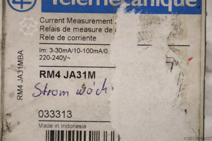  Telemecanique RM4JA31M