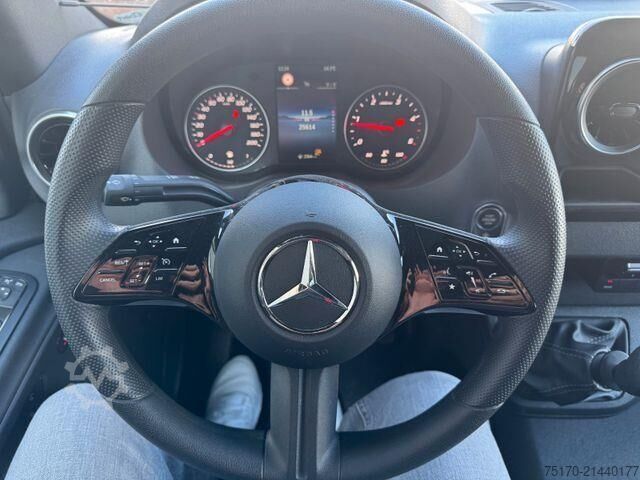 Microbuz Mercedes-Benz Sprinter 317 CDI Rollstuhl/Behinderten Lift