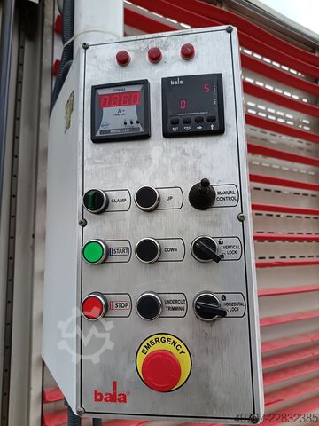 Ferăstrău de formatizat plăci, ferăstrău vertical pentru plăci BALA DPM KS 6100mm