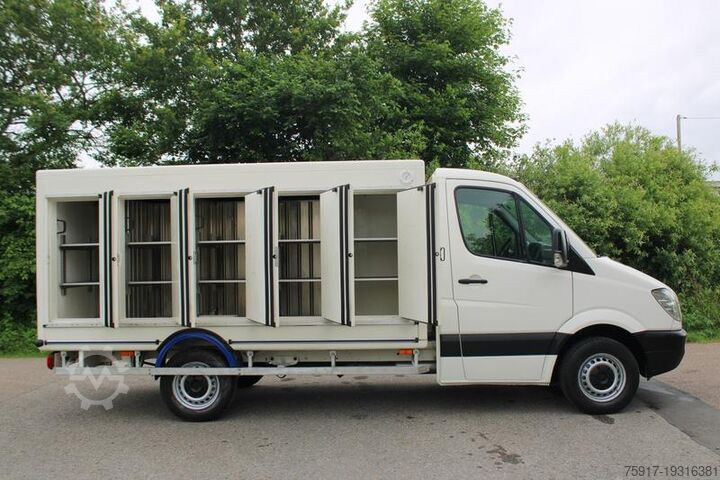 Koelwagen met geïsoleerde laadbak MERCEDES-BENZ Sprinter310 -33 °C 5+5 Türen Euro 5