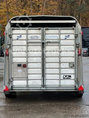 Horse transport trailer IFOR WILLIAMS TA35 PKW Tandem Viehanhänger
