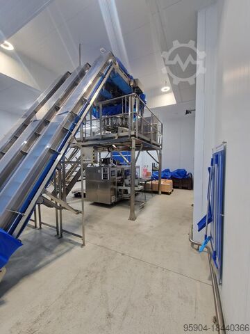 Ligne de pesage multi-têtes et de conditionnement de sachets Multihead Weigher & Pouch Bagging Line 