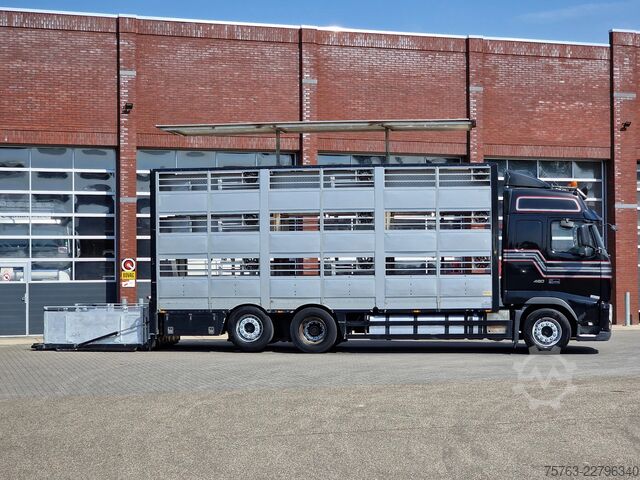 Transport af kvæg Berdex FH 460 Berdex 3 deck livestock - Loadlift - Lif...