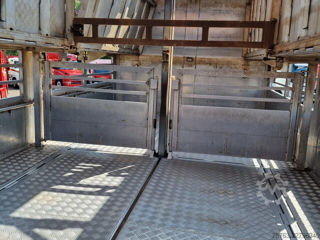 Transport af kvæg Berdex FH 460 Berdex 3 deck livestock - Loadlift - Lif...