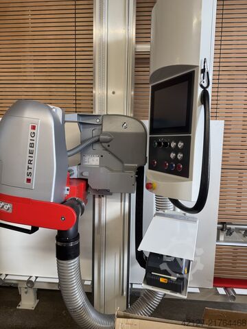 Vertikální panelová pila Striebig Control 6224 mit Expert Cut