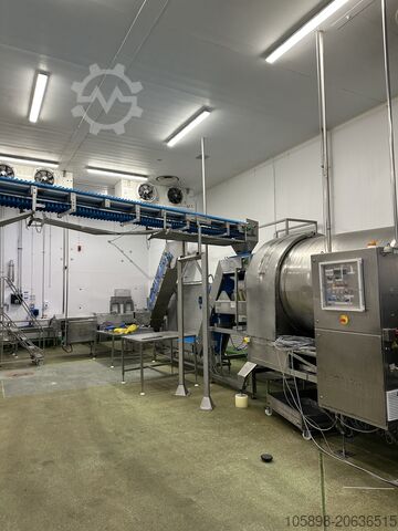 Machine de transformation de la viande Packo Rotary drum IQF freezer