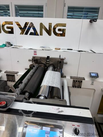 Flexodrukmachine / 2-kleuren / 650 mm China Wenzhou Hongyang Machinery Co. Ltd HYR-650-2