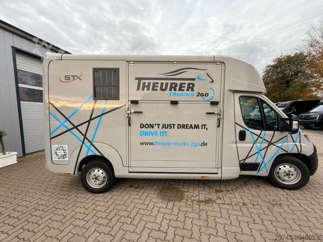 Veetransporter OPEL Movano AKX Haras