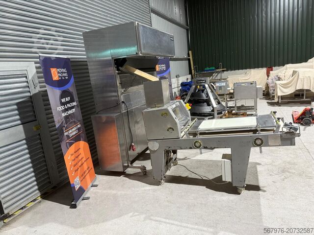 Bread plant Damak / Bertuetti Bread Plant