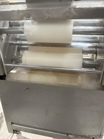 Bread plant Damak / Bertuetti Bread Plant