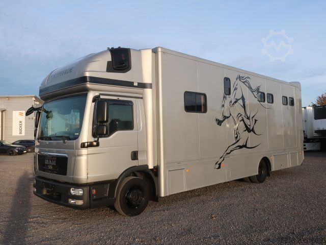 Kreaturvogn MAN TGL 12.250 BL 4x2 für 5 Pferde Aufbau Bj.: 2022