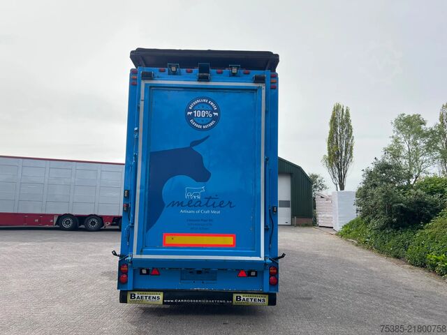 Transport av nötkreatur Berdex Livestock 1/2 stock
