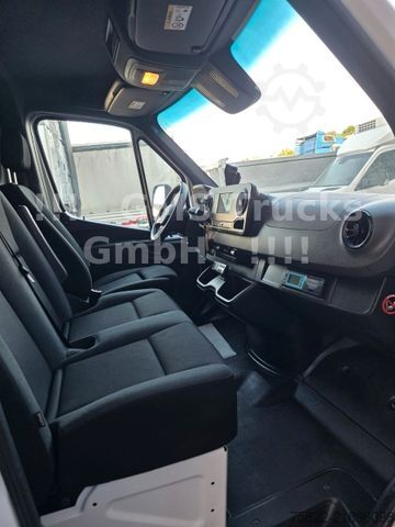 Kühltransporter MERCEDES-BENZ Sprinter 516 / Frigo / Thermo King Cool/Wenig Km