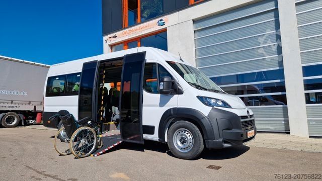 Minibus FIAT Frontniederflur Ducato Movano Boxer Sprinter