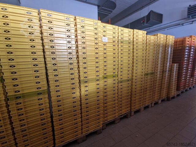 Caixas de padaria amarelas 60x40x8