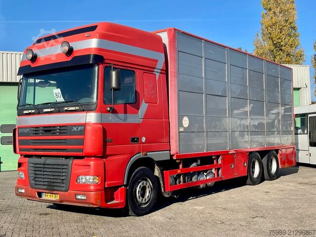 Transport af kvæg DAF XF 95.430 BERDEX  3 decks. Water, fans, Scales!...