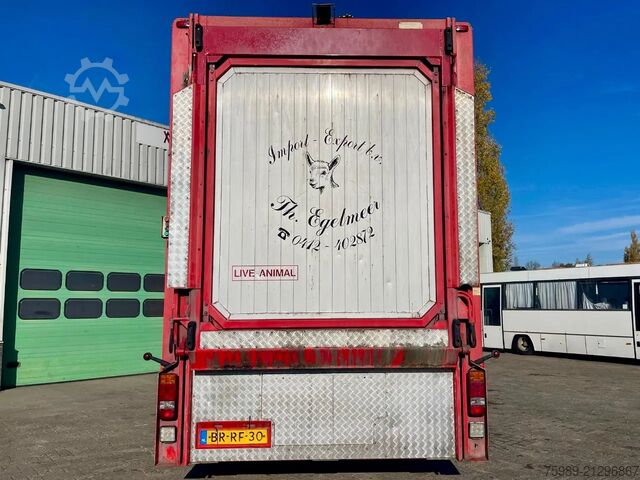 Transport af kvæg DAF XF 95.430 BERDEX  3 decks. Water, fans, Scales!...