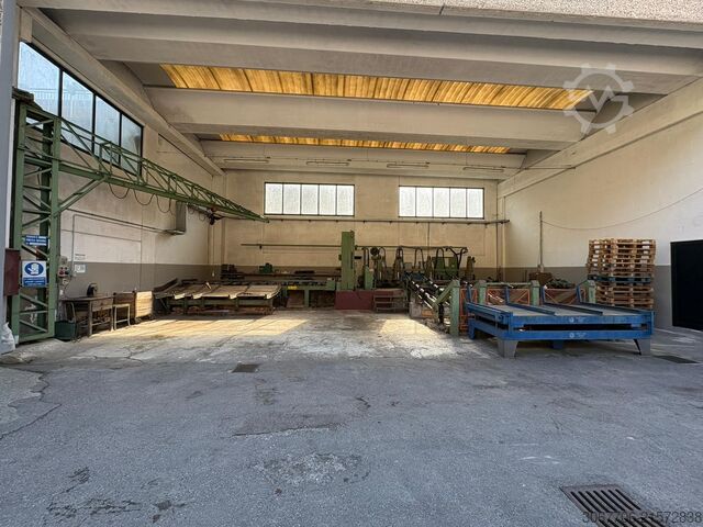 Lintzaag Primultini SE-CEA-IEA 1100 PRIMULTINI SE-CEA-IEA 1100 DX