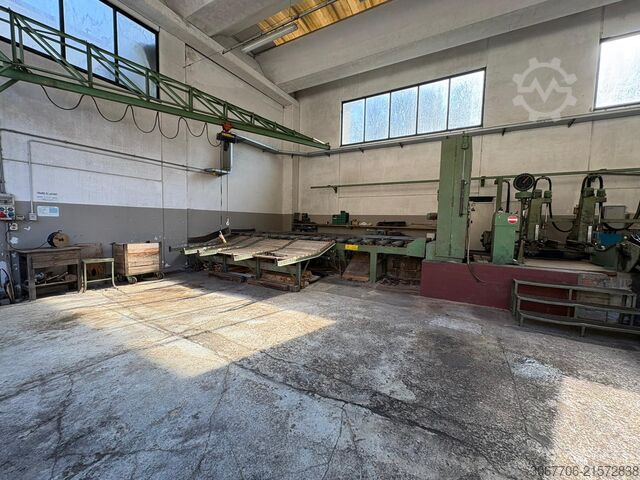 Lintzaag Primultini SE-CEA-IEA 1100 PRIMULTINI SE-CEA-IEA 1100 DX