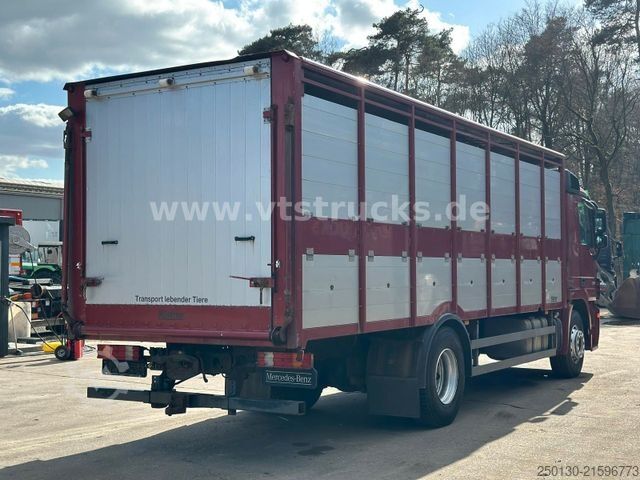 Cattle truck MERCEDES-BENZ Actros 1841 MP3 1.Stock Köstner Viehaufbau
