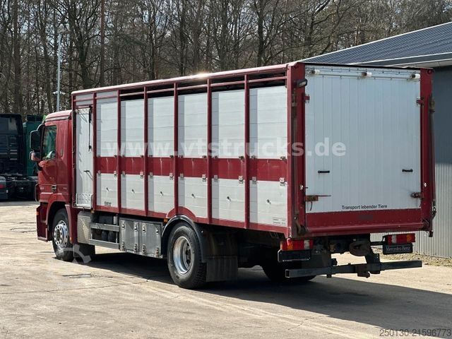 Cattle truck MERCEDES-BENZ Actros 1841 MP3 1.Stock Köstner Viehaufbau